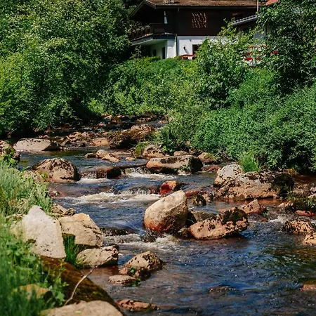 Bodeblick Hotel Schierke